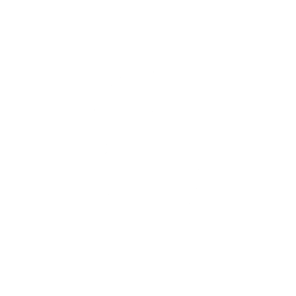 THE MANLY MAN COMPANY